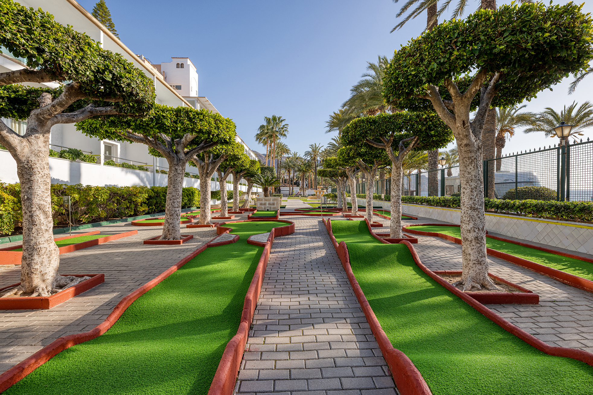 001_alta_playadulce Animación.jpg